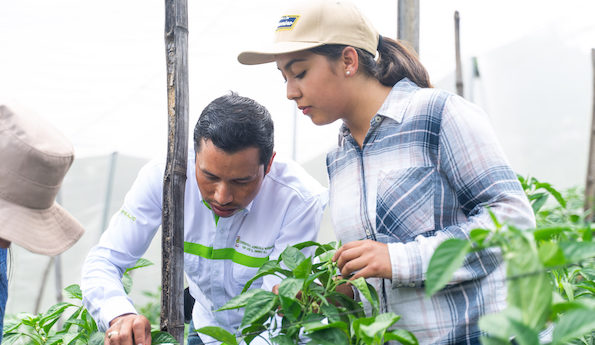 More Than 40,000 Guatemalan Farmers Participate in Certification Program