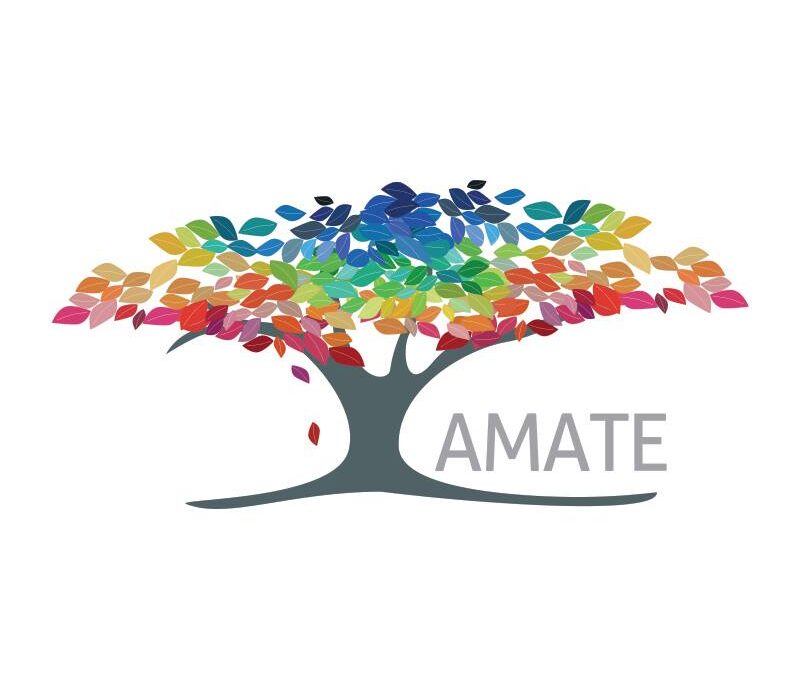 Leader of AMATE receives honorable mention in the Rice Award 2019