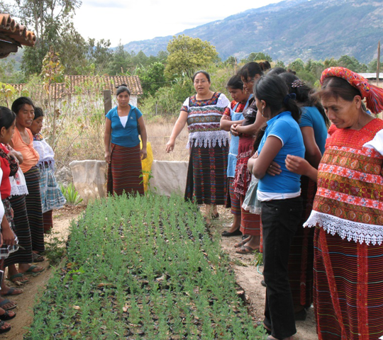 Creating Hope for Farmers in Guatemala
