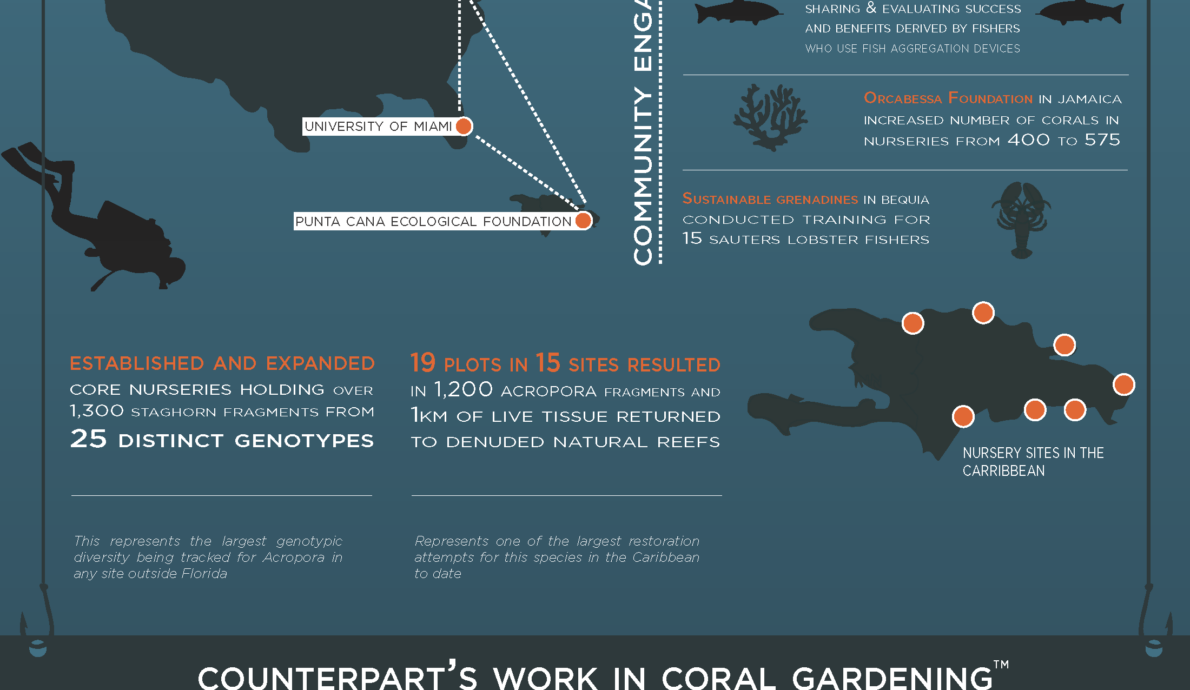Infographic: Counterpart and coral restoration