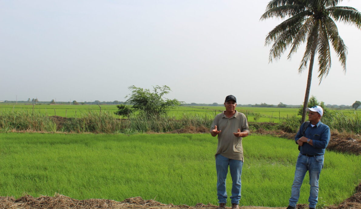 Integrated Marine Ecosystem Management in Northern Hispaniola: Sustainable Rice Success
