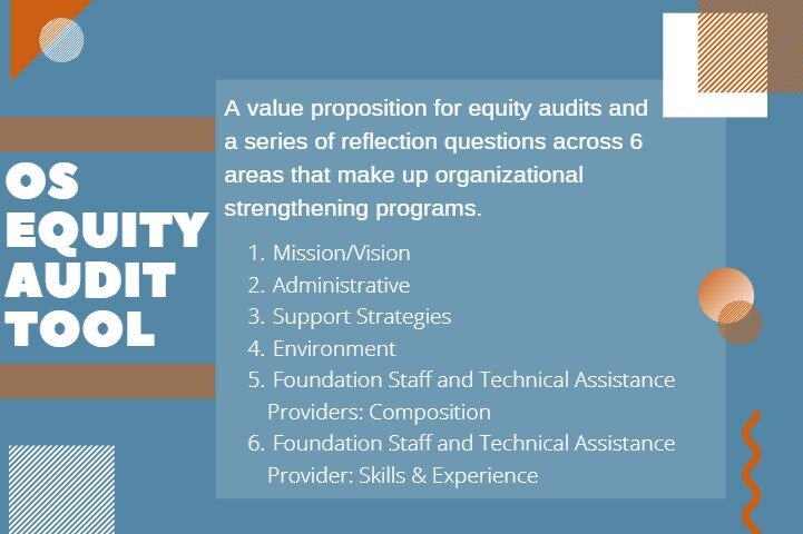 Shining a Light: DIY Equity Audits of Our Organizational Strengthening Programs